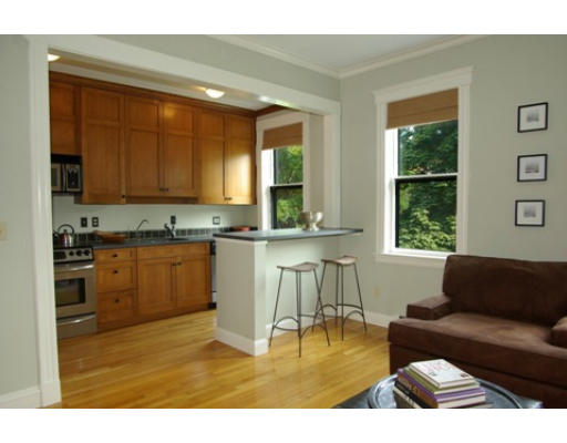 202 West Springfield Street, Unit 5 Boston, MA 02118 - Photo 2 of 7 Gallery Image 2