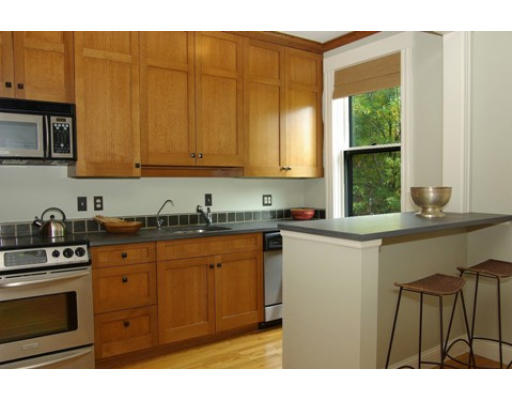 202 West Springfield Street, Unit 5 Boston, MA 02118 - Photo 3 of 7 Gallery Image 3