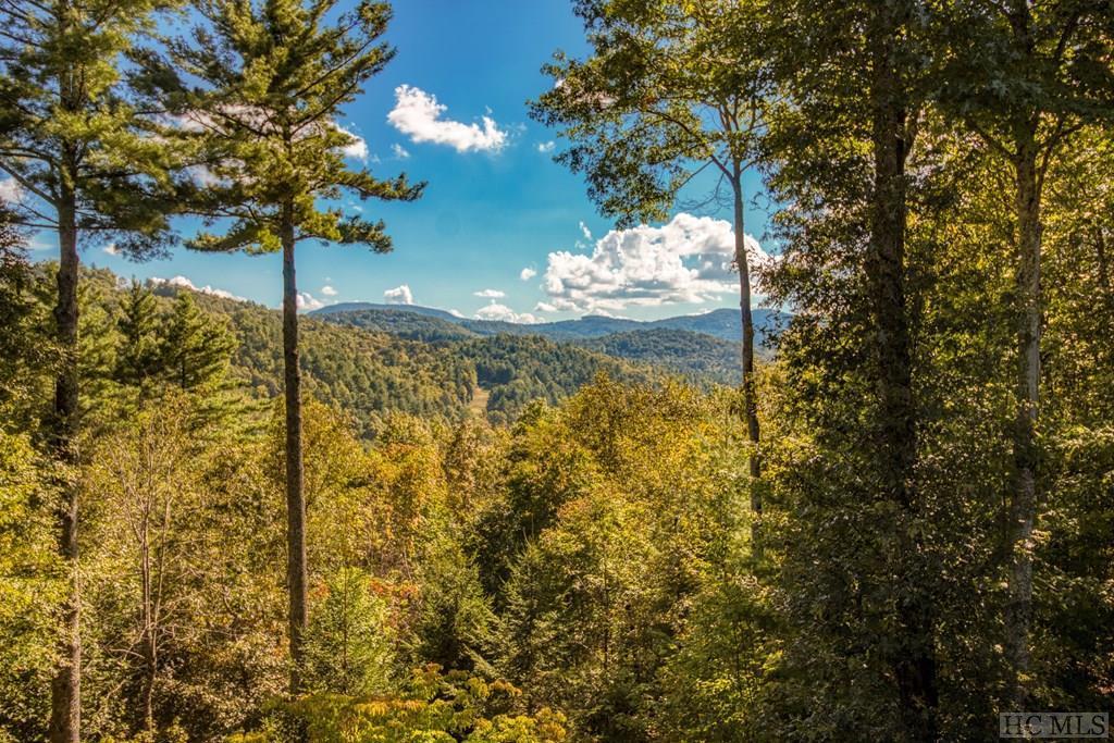 441 High Meadow Road Cullowhee, NC 28723 - Photo 9 of 52 Gallery Image 9