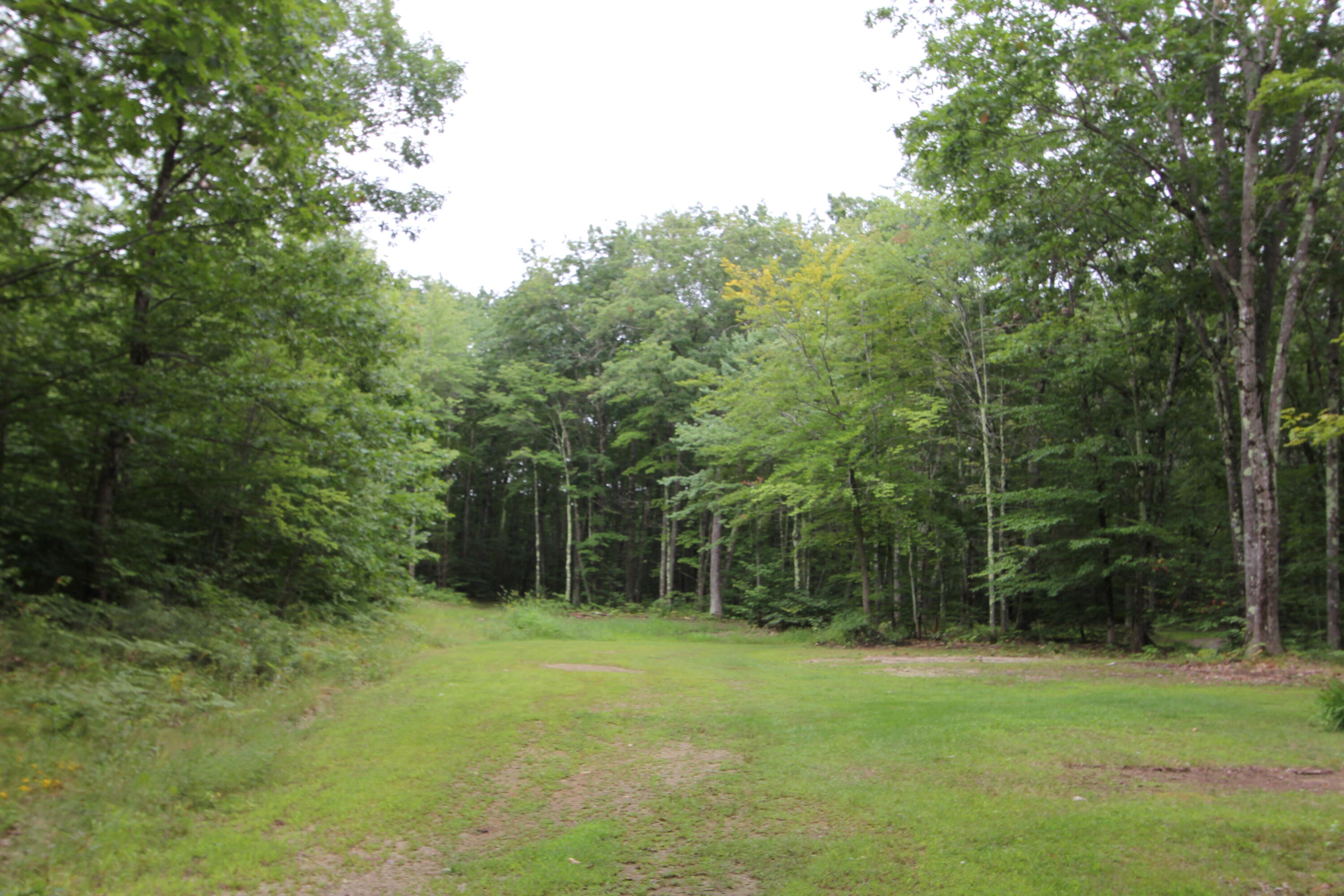 181 Stone Road Auburn, ME 04210 - Photo 93 of 121 IMG_0293