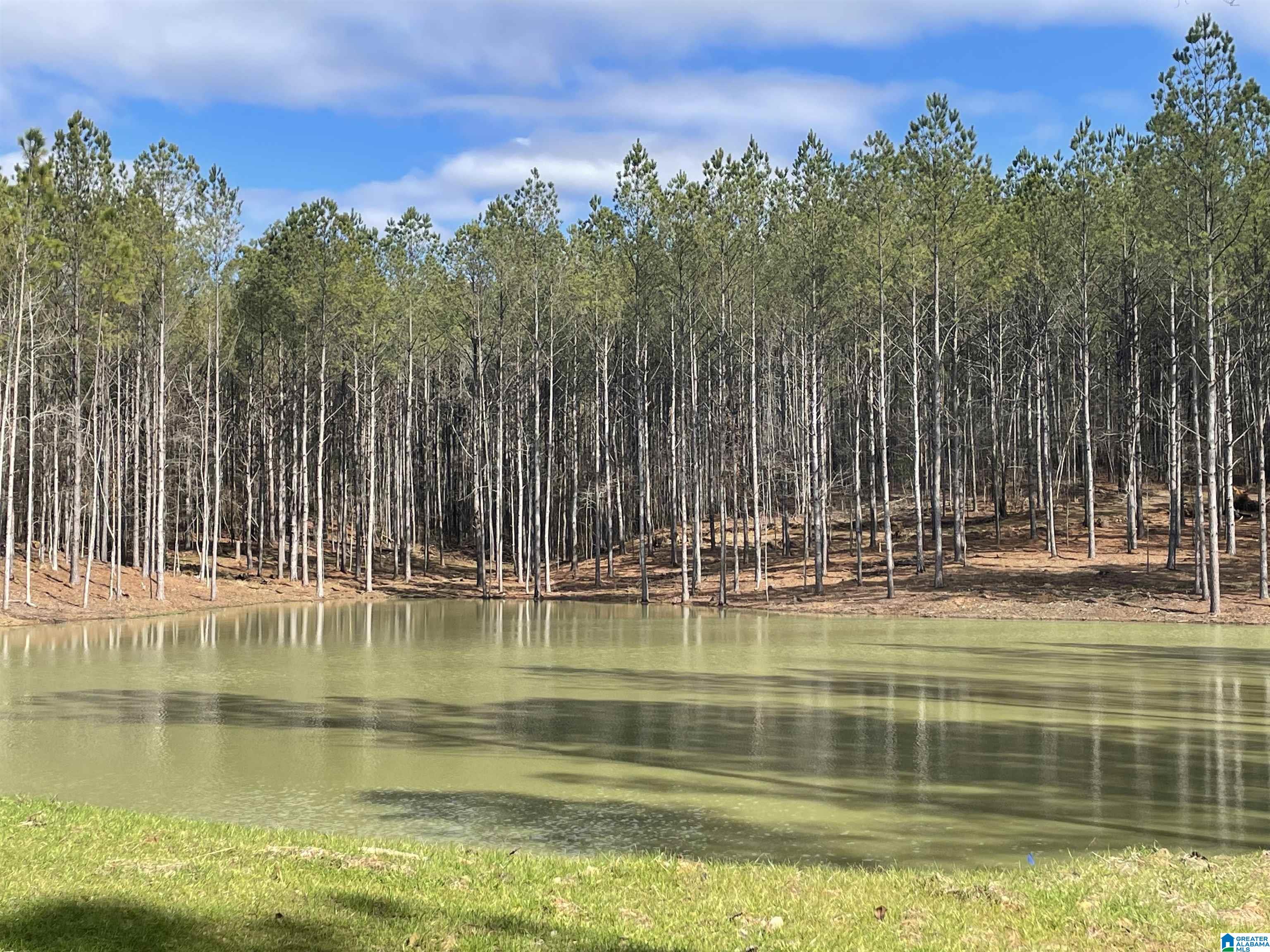 1 Chelsea Road, Unit 3 Columbiana, AL 35051 - Photo 15 of 22