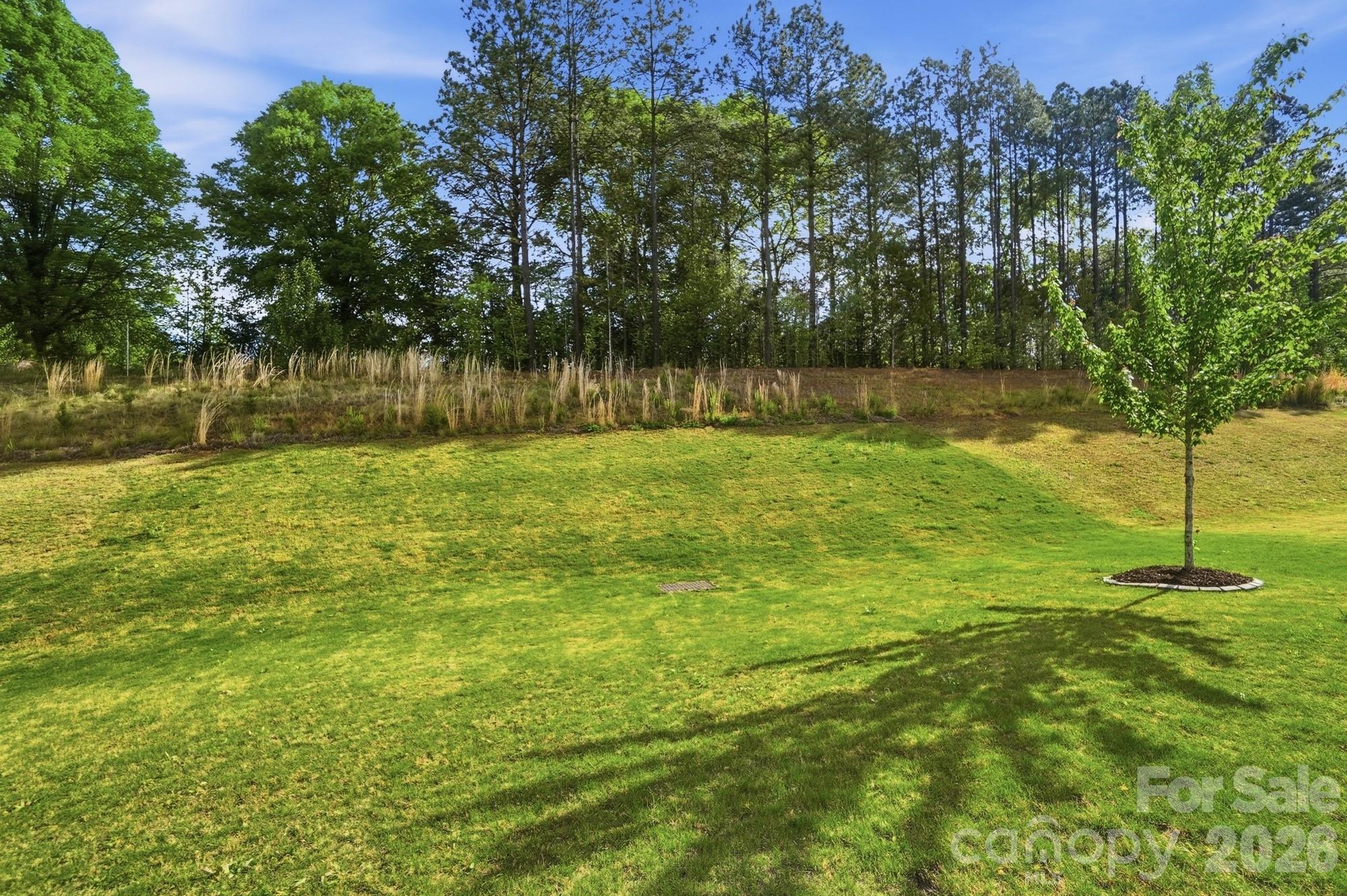 116 Timbergreen Court Troutman, NC 28166 - Photo 43 of 43 a backyard of a house with lots of green space