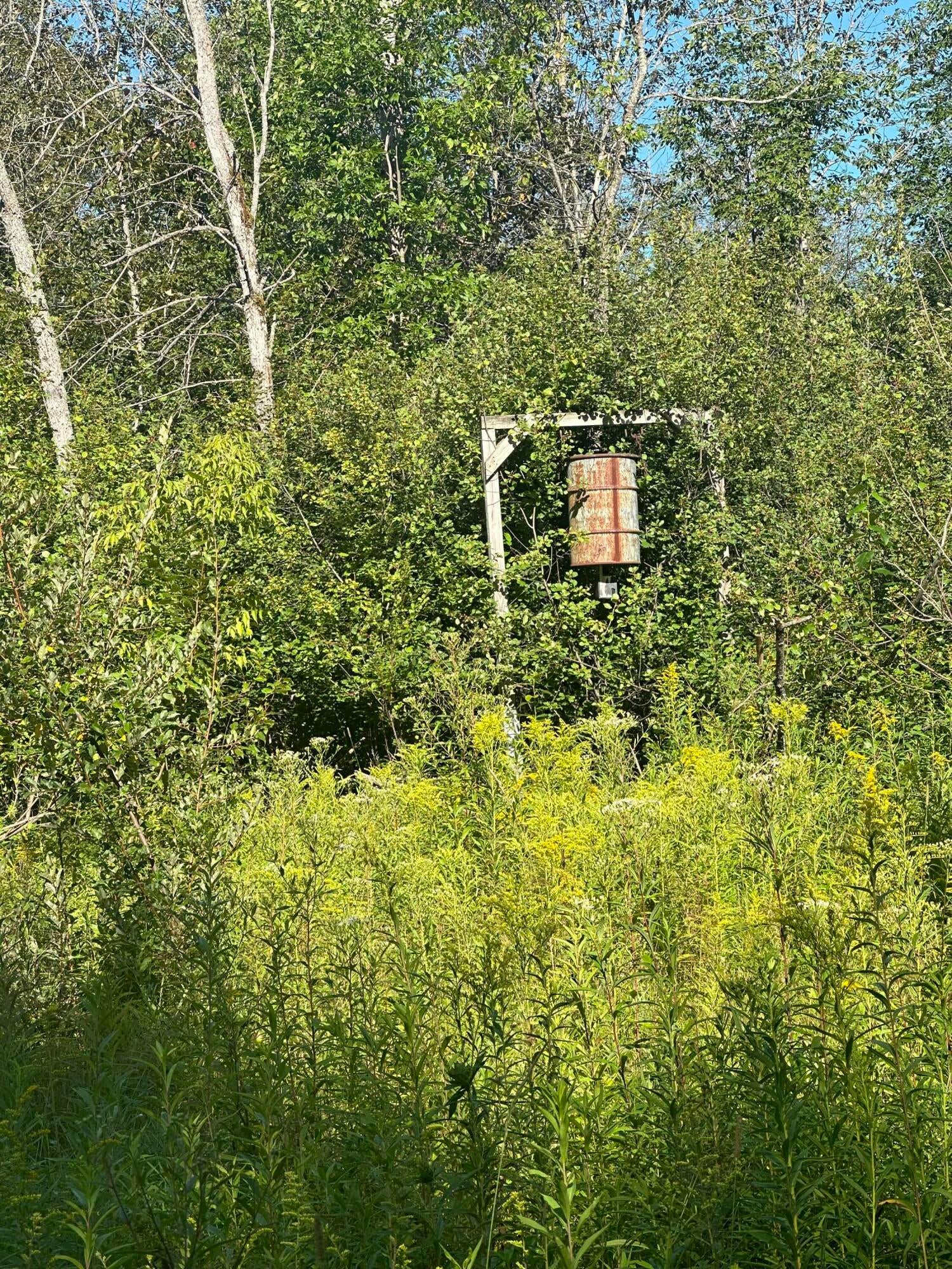 11301 Standen Road Lachine, MI 49753 - Photo 20 of 43 Gallery Image 20