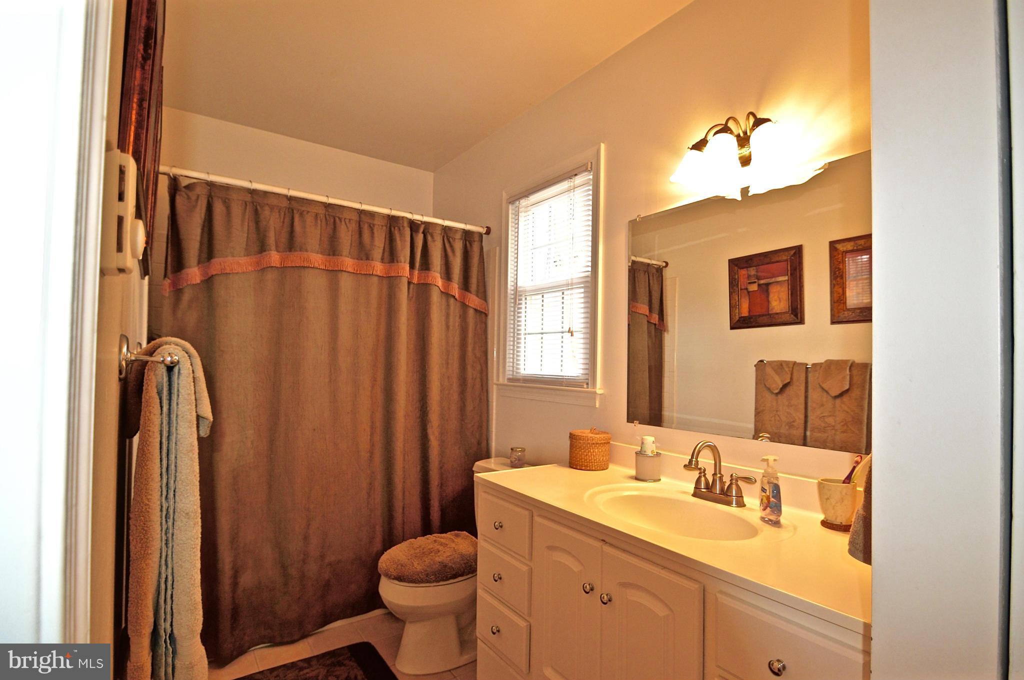 3810 Pippins Place Point of Rocks, MD 21777 - Photo 14 of 29 a bathroom with a sink toilet and shower
