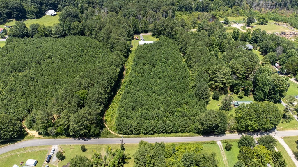 1310 Raburn Road Northeast Dalton, GA 30721 - Photo 3 of 3 a view of a yard with plants