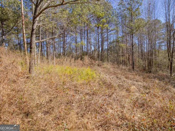 $50,900 | 3247 Ga-120 Highway, Tallapoosa, GA 30176