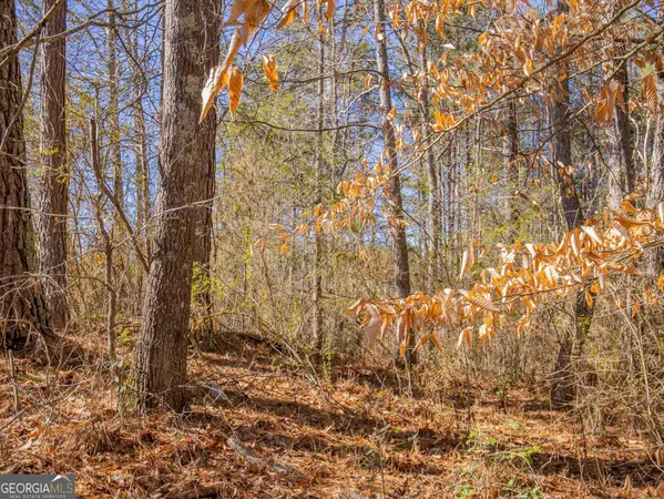 $50,900 | 3247 Ga-120 Highway, Tallapoosa, GA 30176