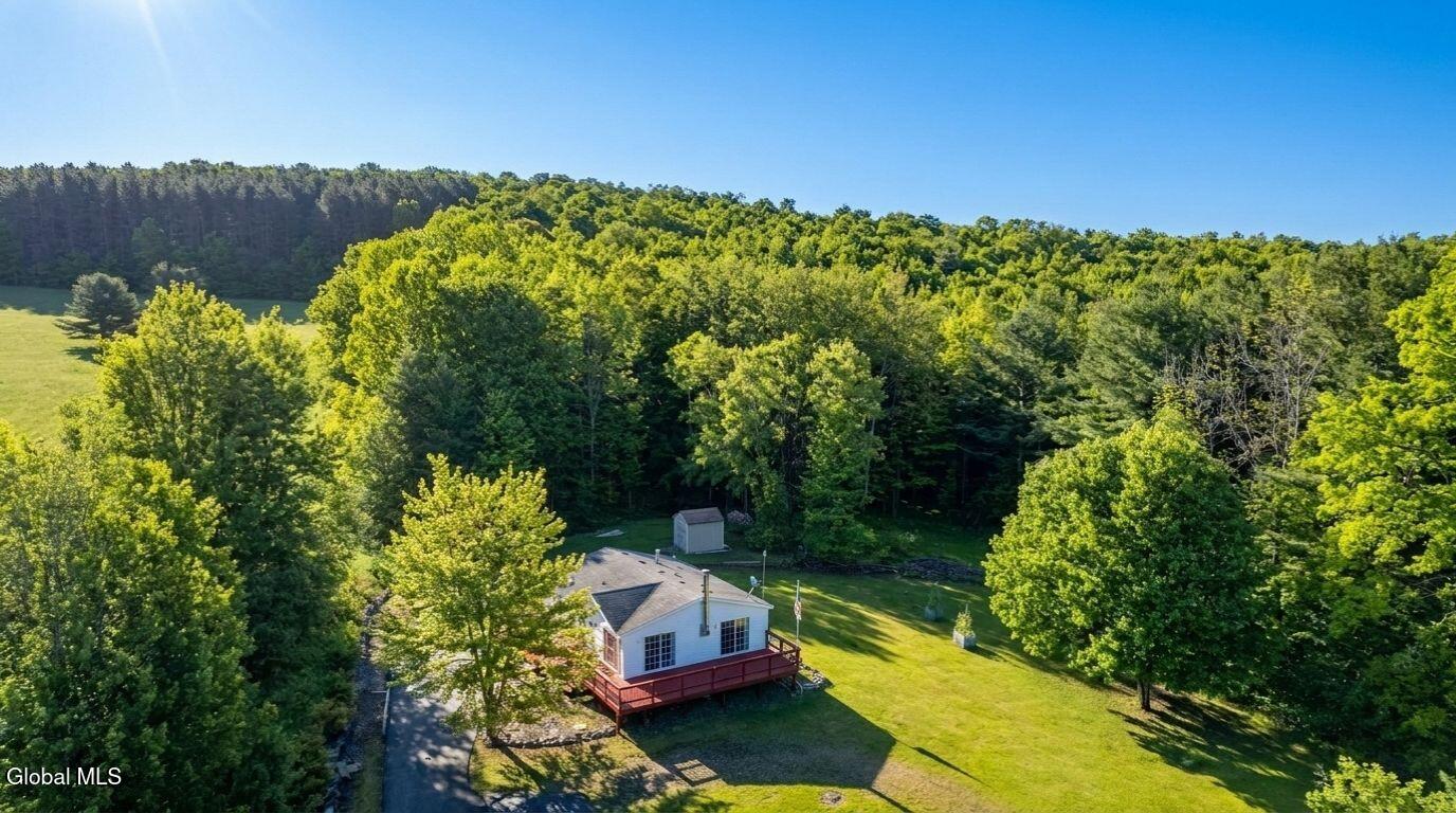 788 Teed Road Sidney Center, NY 13839 - Photo 69 of 73 788-teed-rd-walton-ny-drone-photo.jpg (1