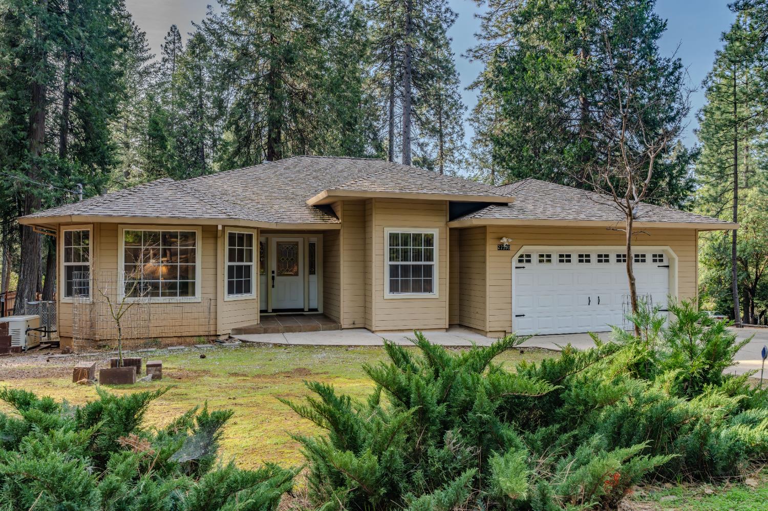 27390 Barton Road Pioneer, CA 95666 - Photo 8 of 52 a view of a house with a small yard plants and large tree