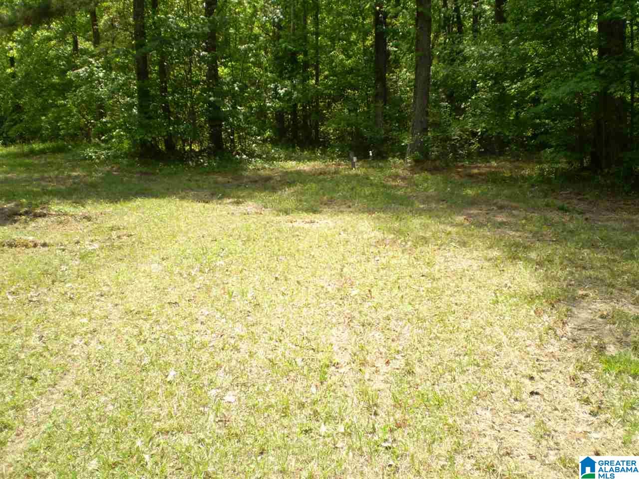 298 Waldrop Road, Unit TR 12 Ashville, AL 35953 - Photo 13 of 29