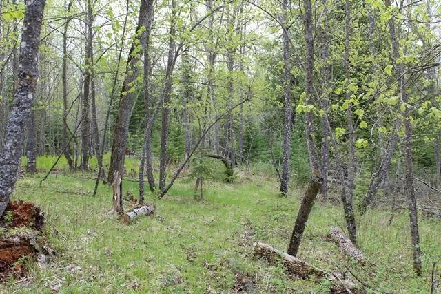 $1,500,000 | 19 County Road 19, Deer River, MN 56636