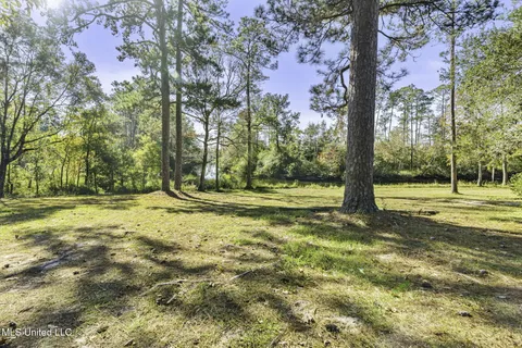$1,250,000 | 16100 Bayou Cocoa Point Drive, Kiln, MS 39556