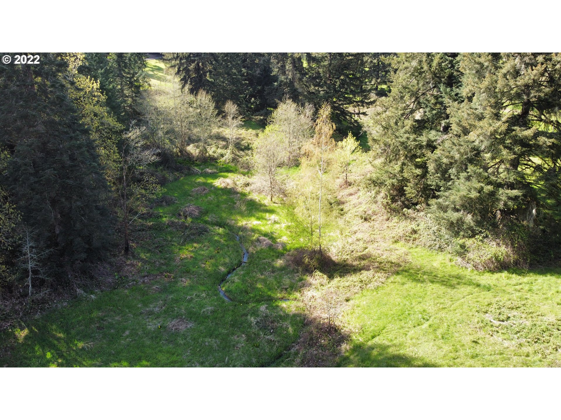 25210 Jaeg Road Junction City, OR 97448 - Photo 3 of 11 Gallery Image 3
