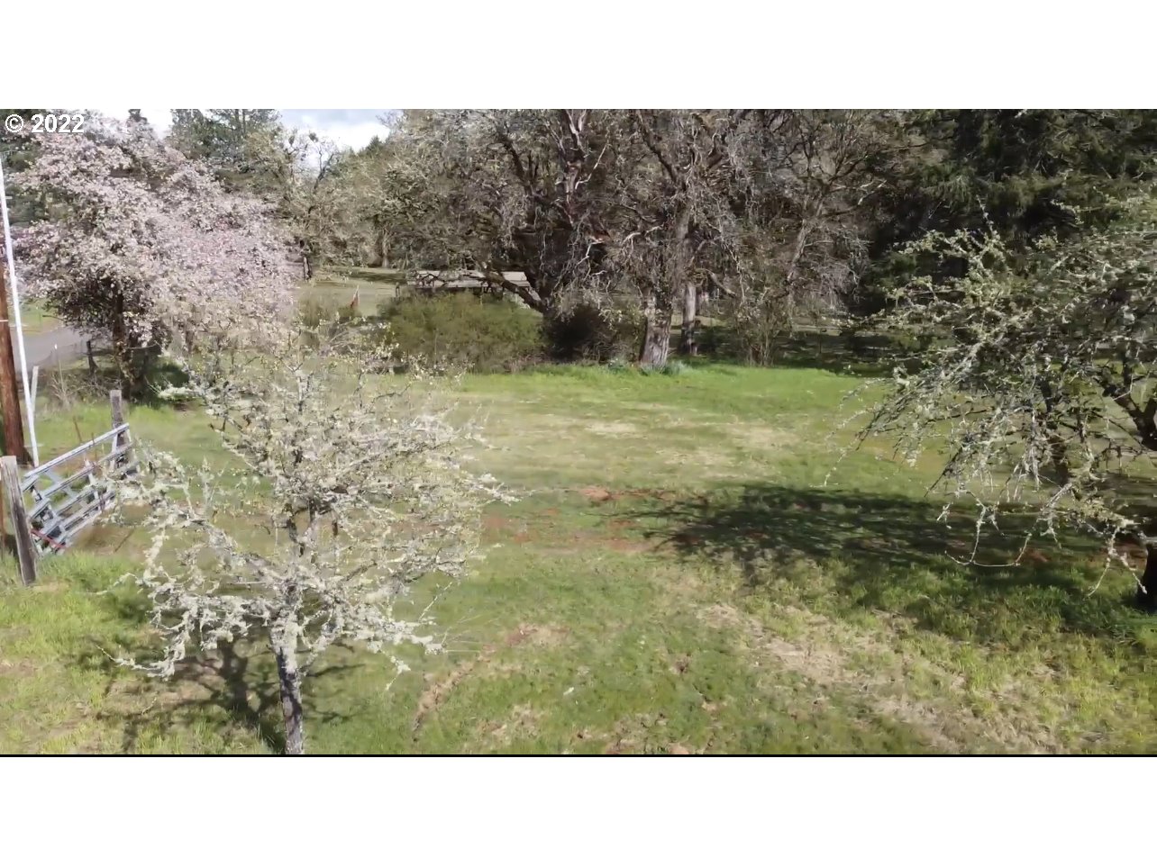 25210 Jaeg Road Junction City, OR 97448 - Photo 8 of 11 Gallery Image 8