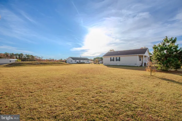 a view of large tree with green space