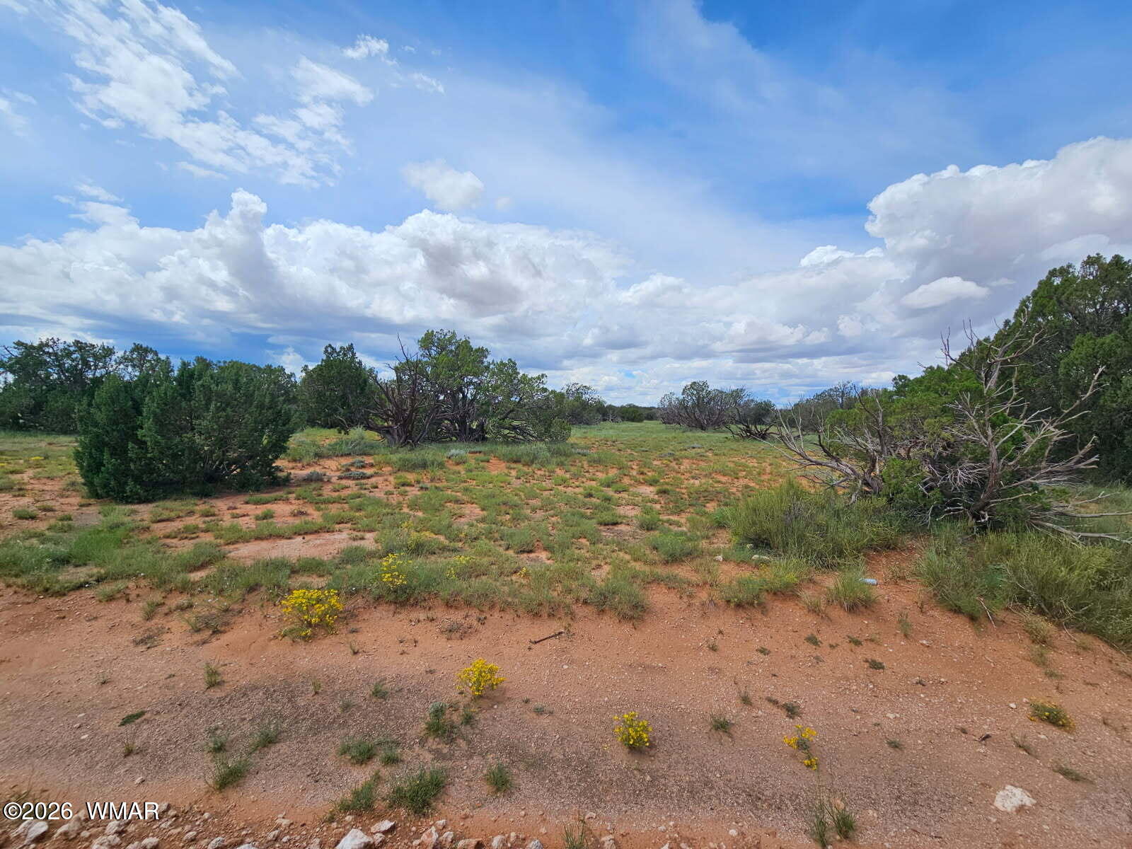 1924 Hutch Road Heber, AZ 85928 - Photo 9 of 17 Gallery Image 9