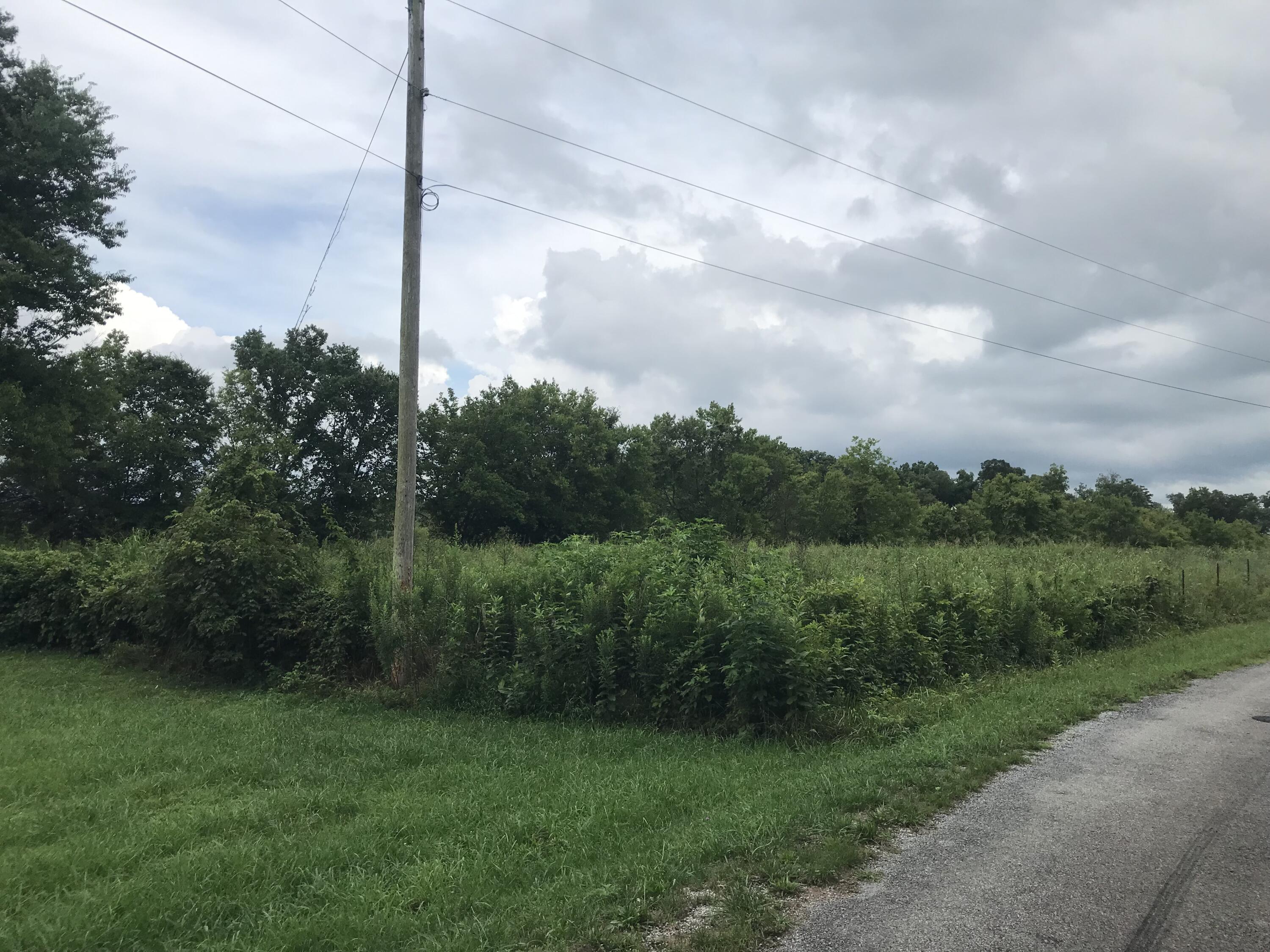 0 Billy Bible Road Greeneville, TN 37745 - Photo 15 of 40 IMG_1658