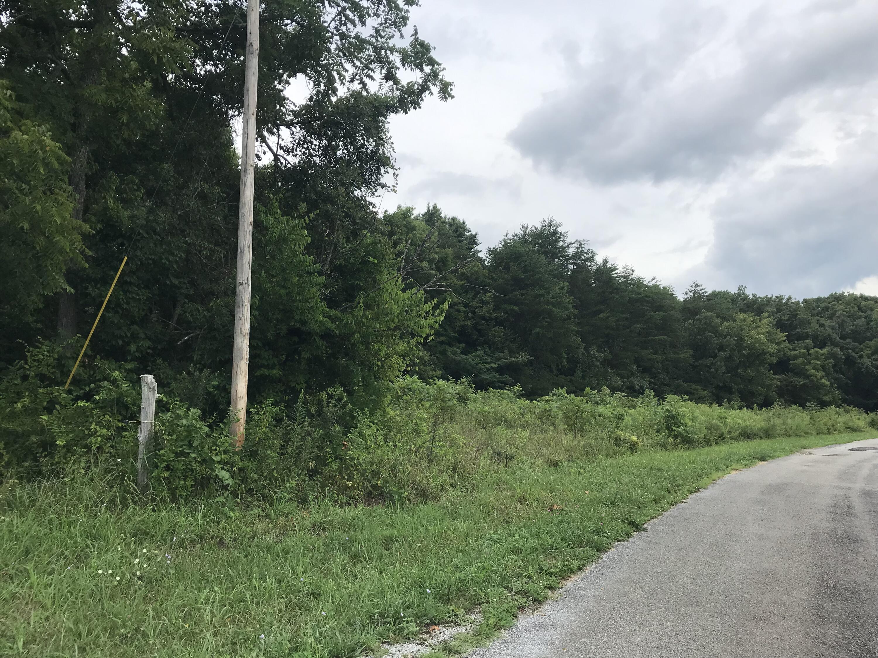 0 Billy Bible Road Greeneville, TN 37745 - Photo 2 of 40 IMG_1645