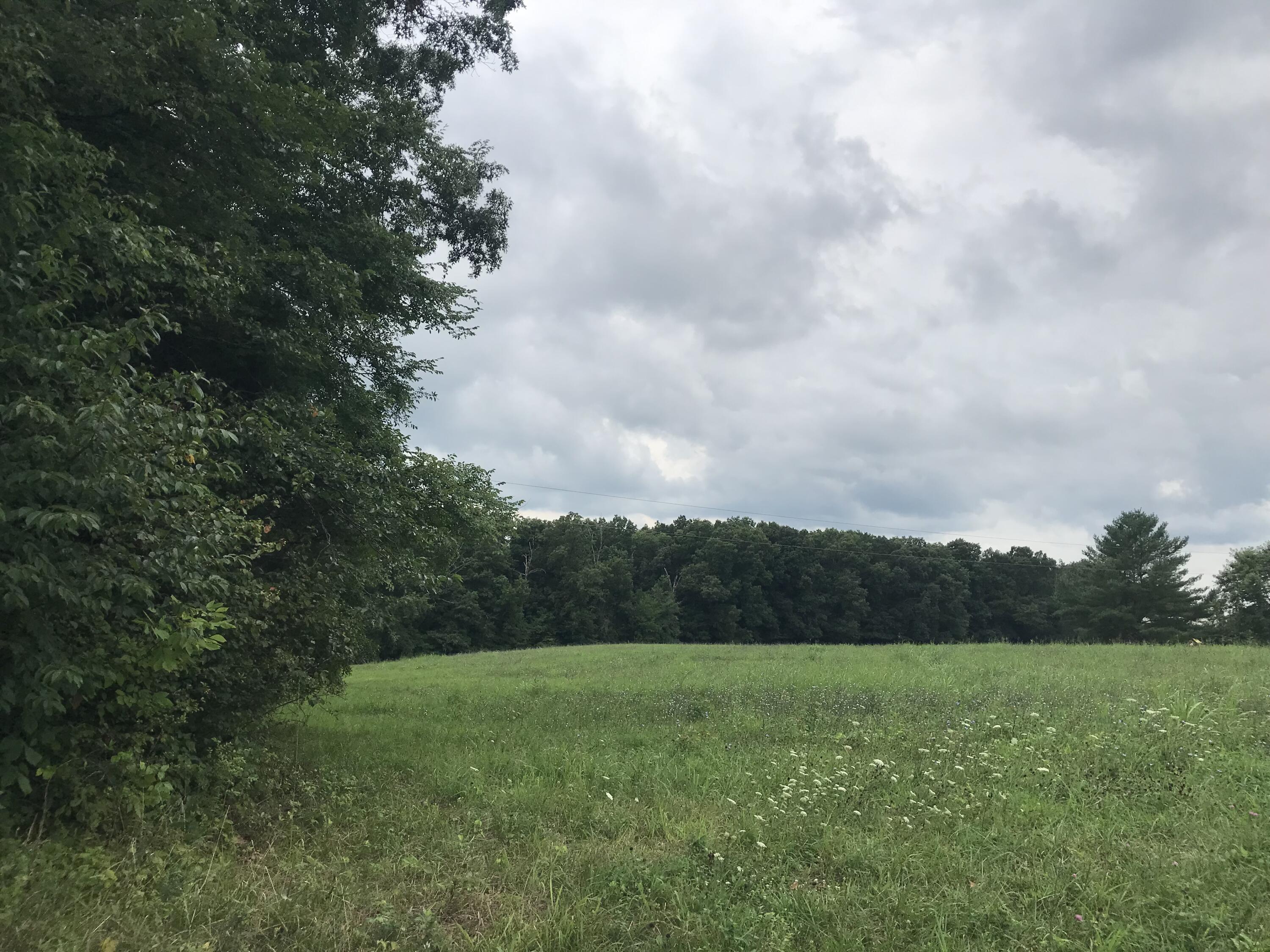 0 Billy Bible Road Greeneville, TN 37745 - Photo 22 of 40 IMG_1665