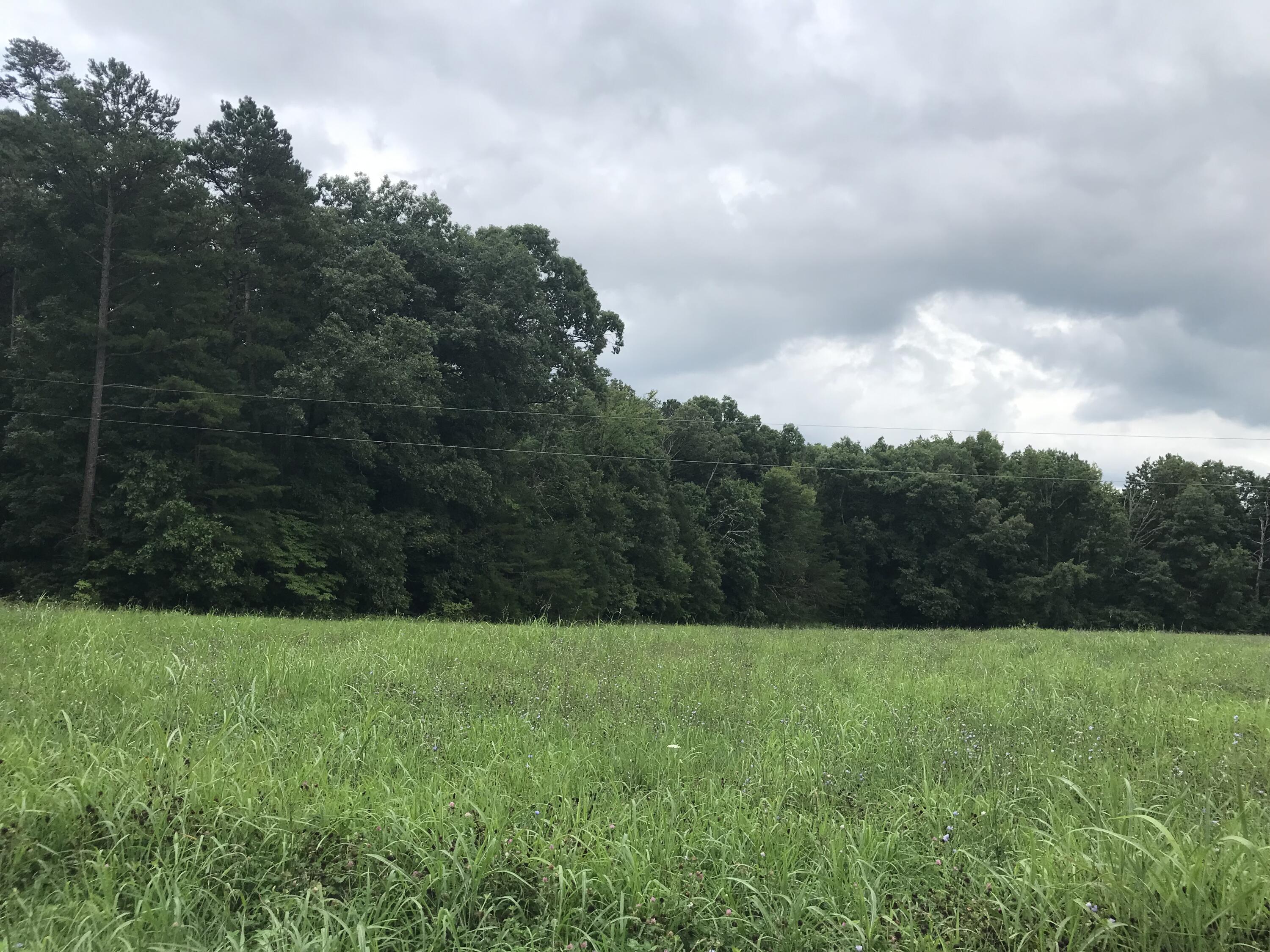 0 Billy Bible Road Greeneville, TN 37745 - Photo 23 of 40 IMG_1666