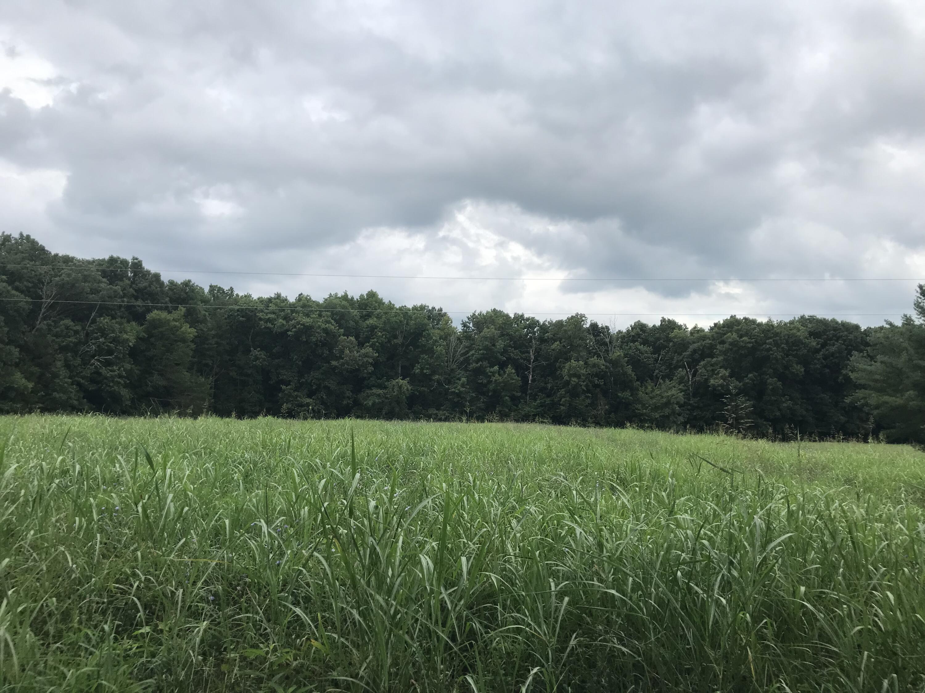 0 Billy Bible Road Greeneville, TN 37745 - Photo 25 of 40 IMG_1668