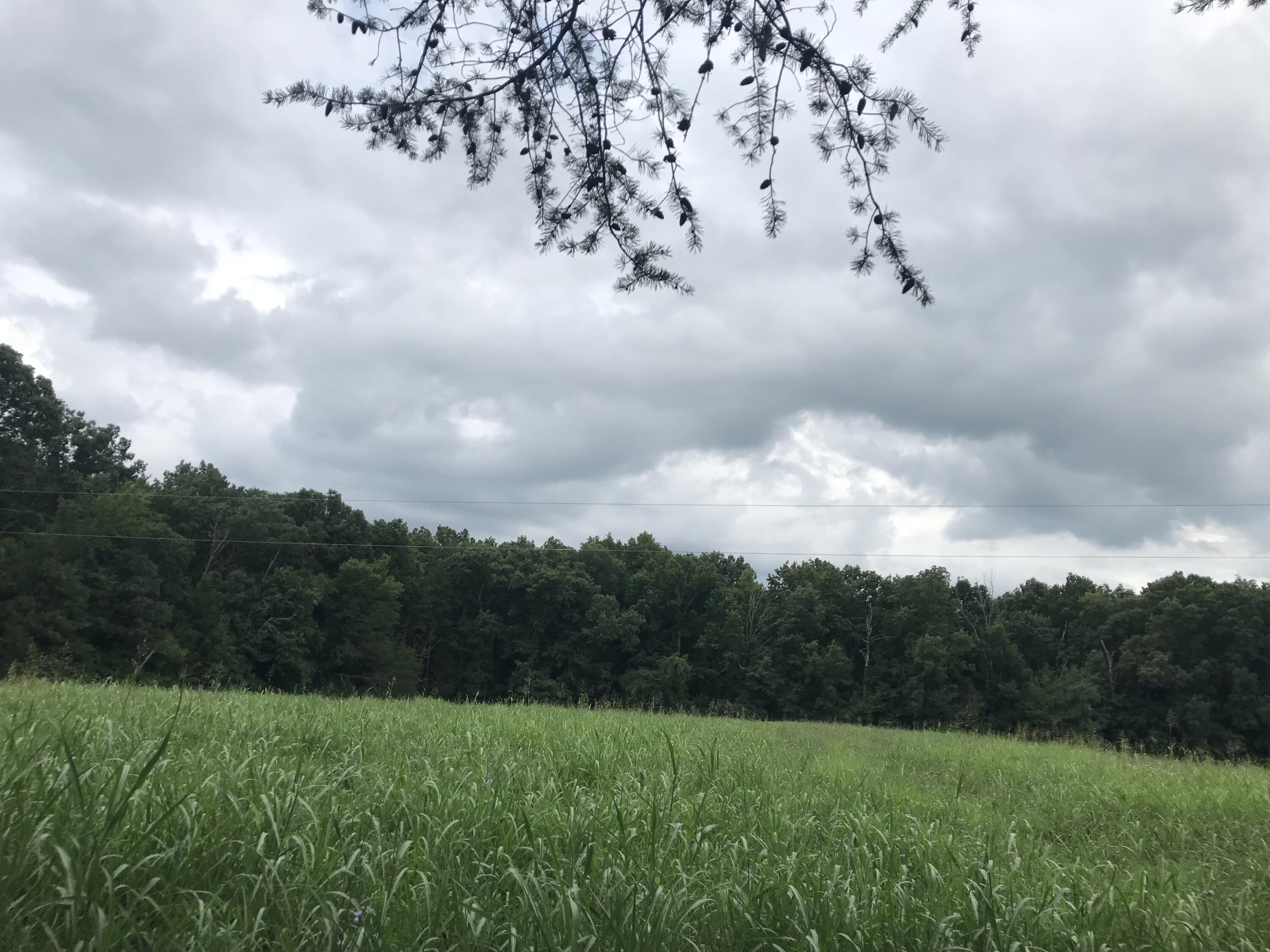 0 Billy Bible Road Greeneville, TN 37745 - Photo 26 of 40 IMG_1669