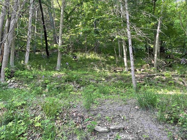 W10728 Tipperary Road Poynette, WI 53955 - Photo 16 of 19