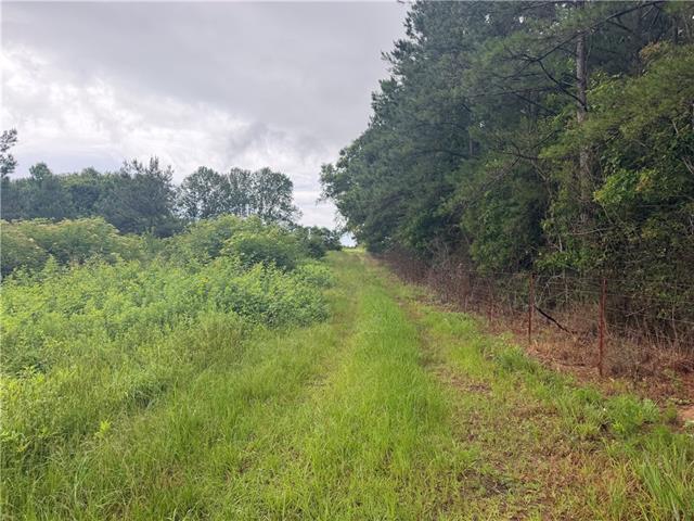 0 East Bell Road Amite, LA 70422 - Photo 3 of 8