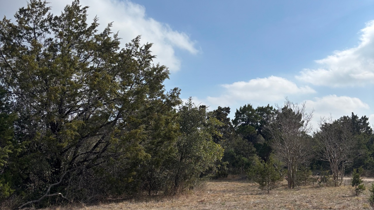 829 A Castle Ridge Road Austin, TX 78746 - Photo 4 of 6 a view of a city with lush green forest
