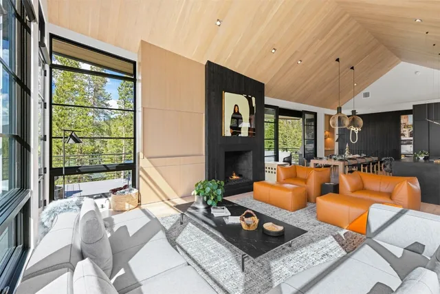 a living room with furniture a fireplace and a large window
