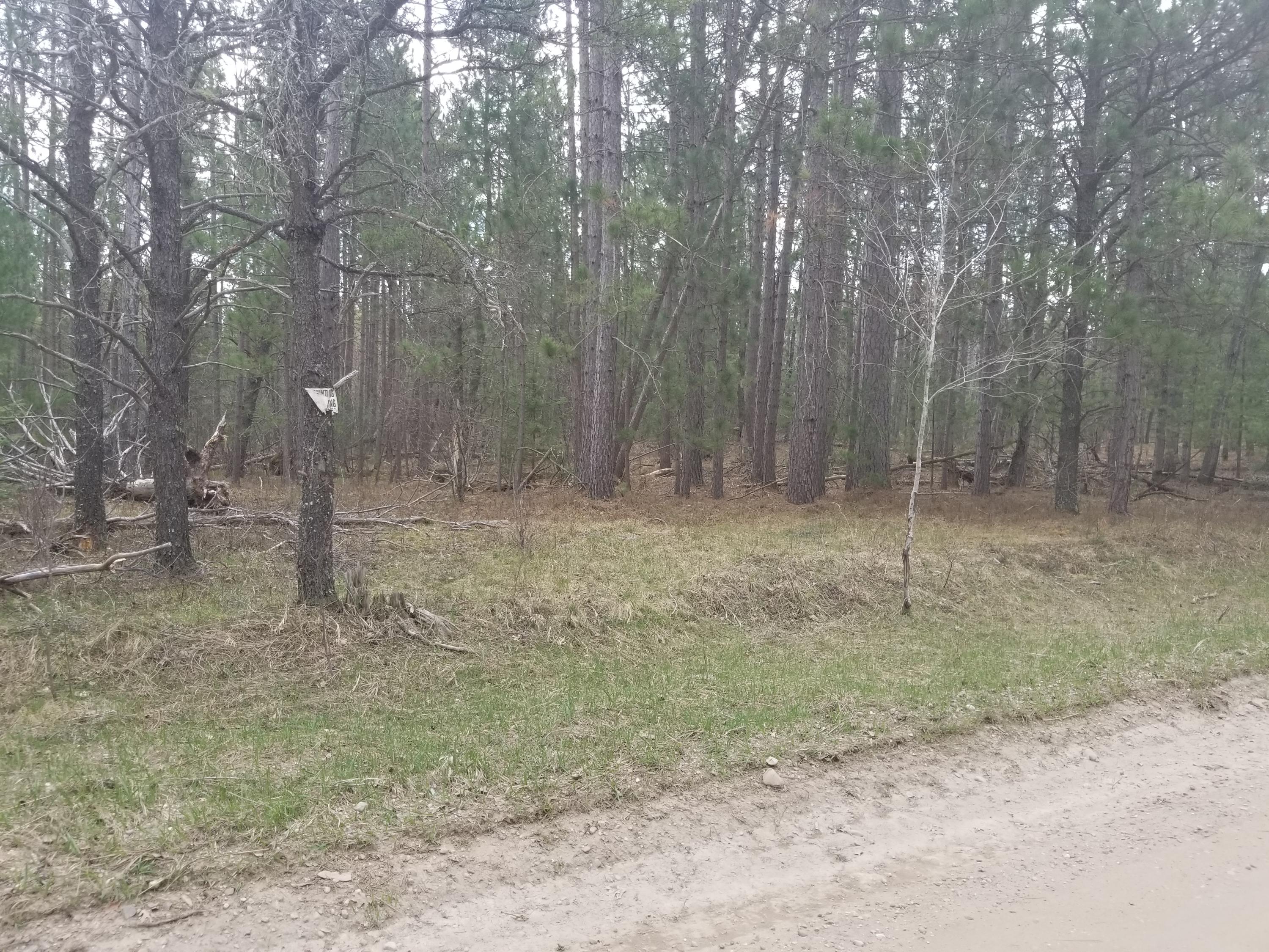 Cherry Creek Road Grayling, MI 49738 - Photo 4 of 18 Gallery Image 4