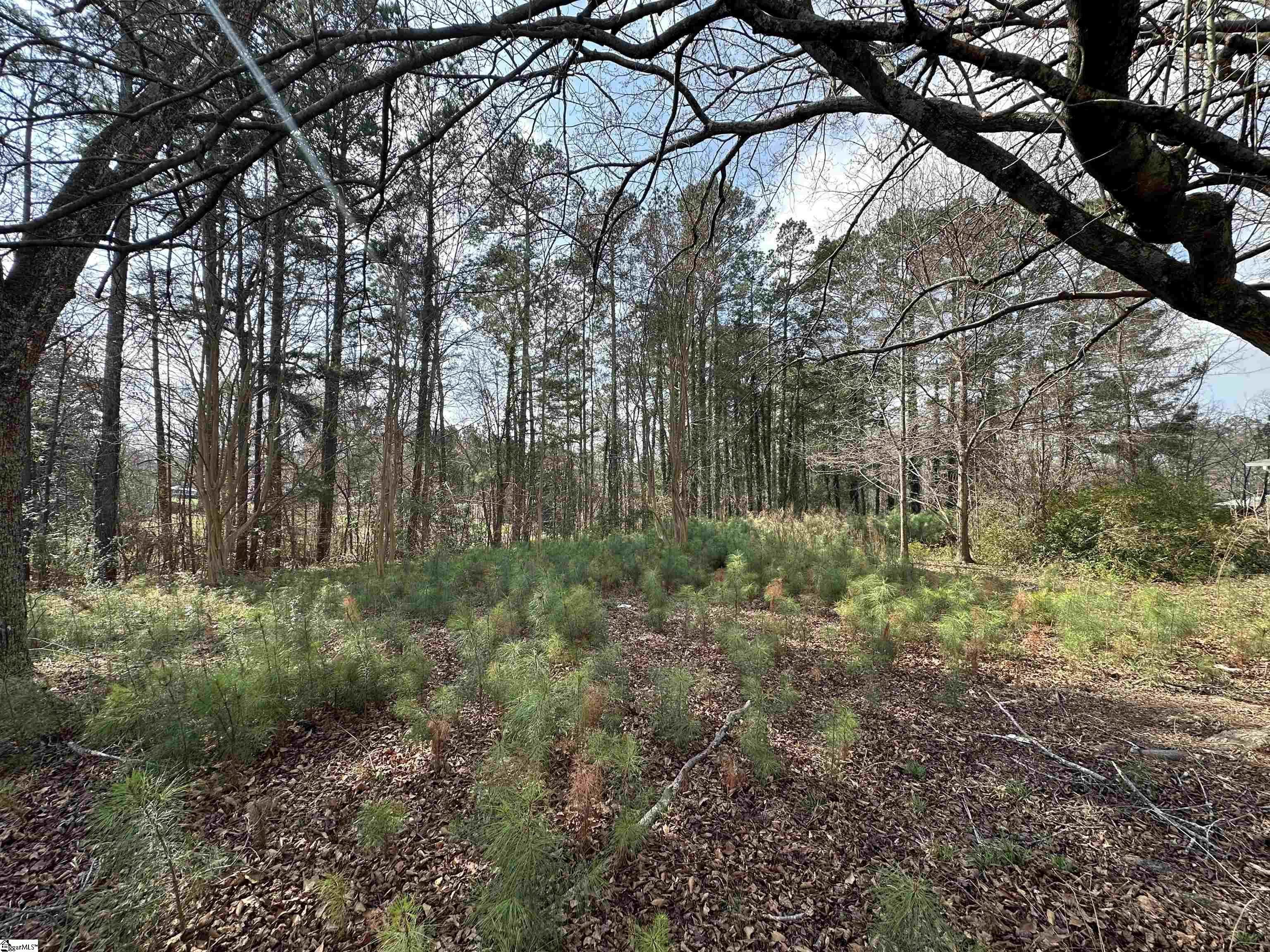 0 South Walnut Street Seneca, SC 29678 - Photo 3 of 12