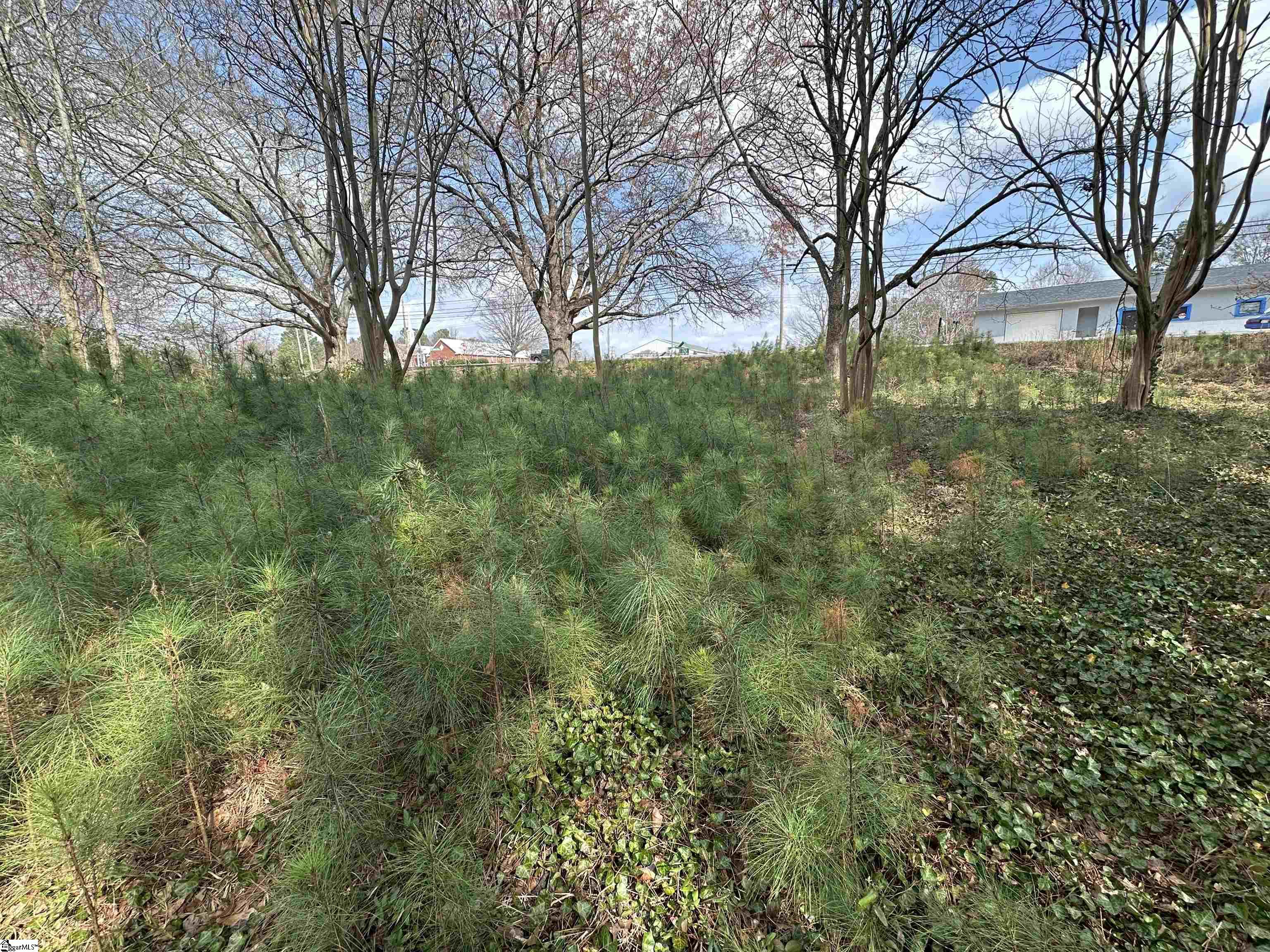 0 South Walnut Street Seneca, SC 29678 - Photo 6 of 12
