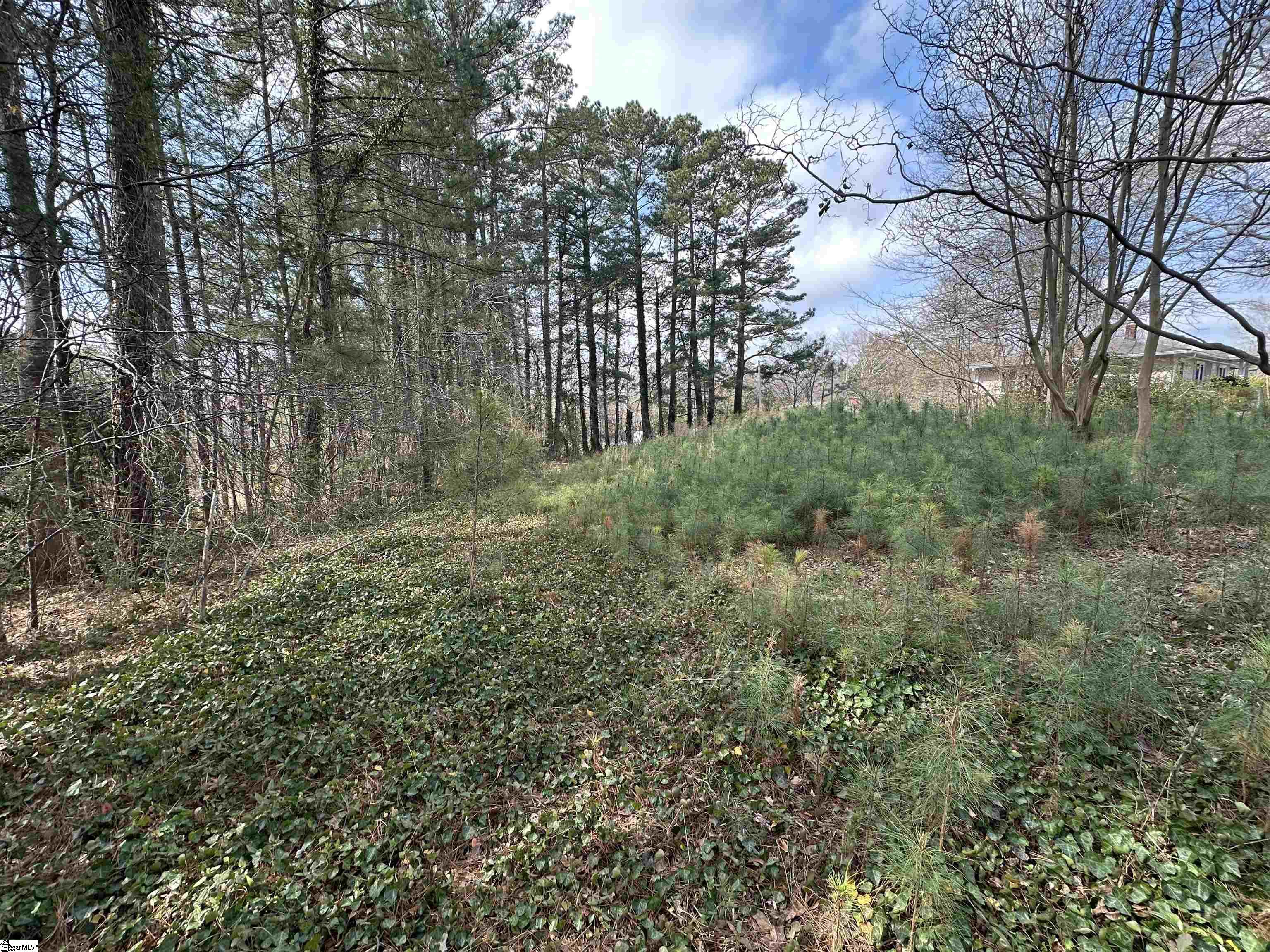 0 South Walnut Street Seneca, SC 29678 - Photo 8 of 12