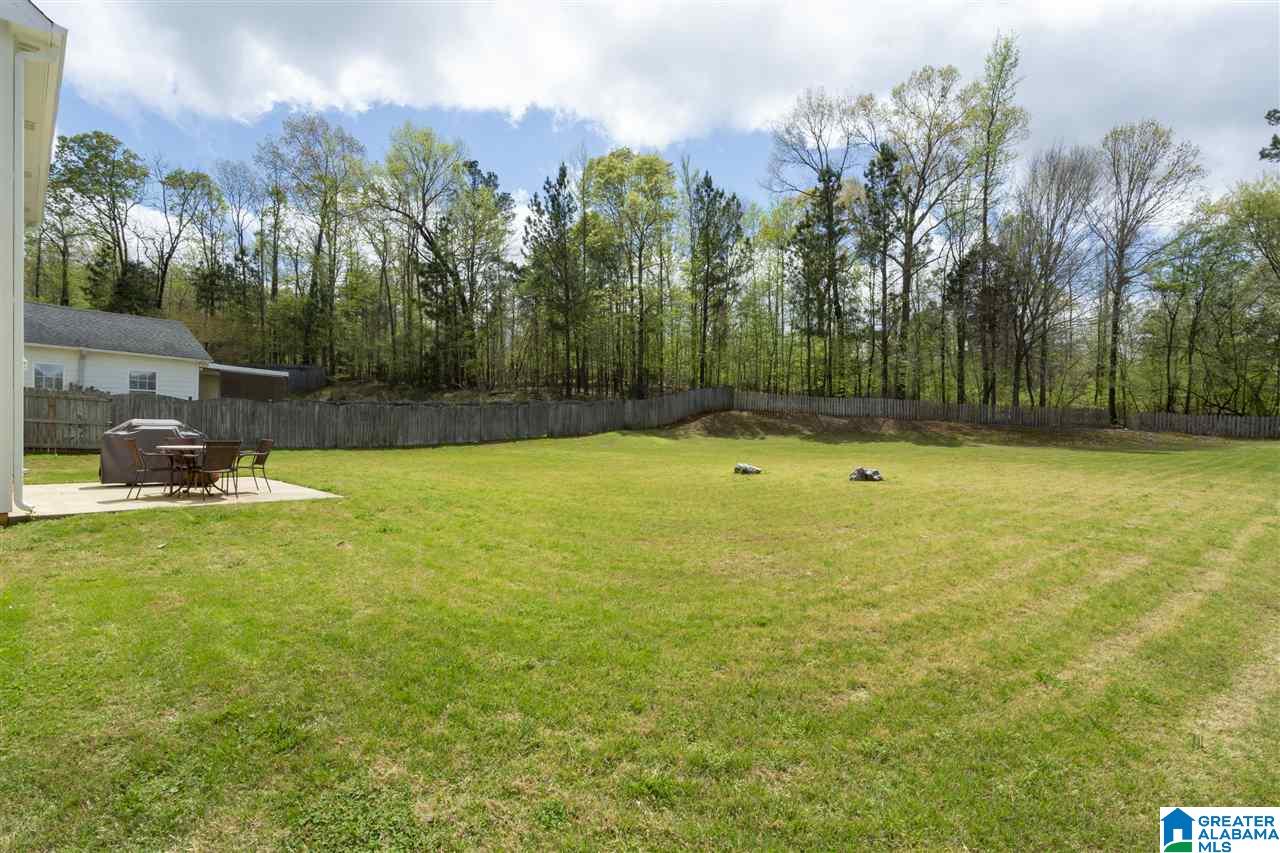 124 Victoria Station Alabaster, AL 35114 - Photo 3 of 38