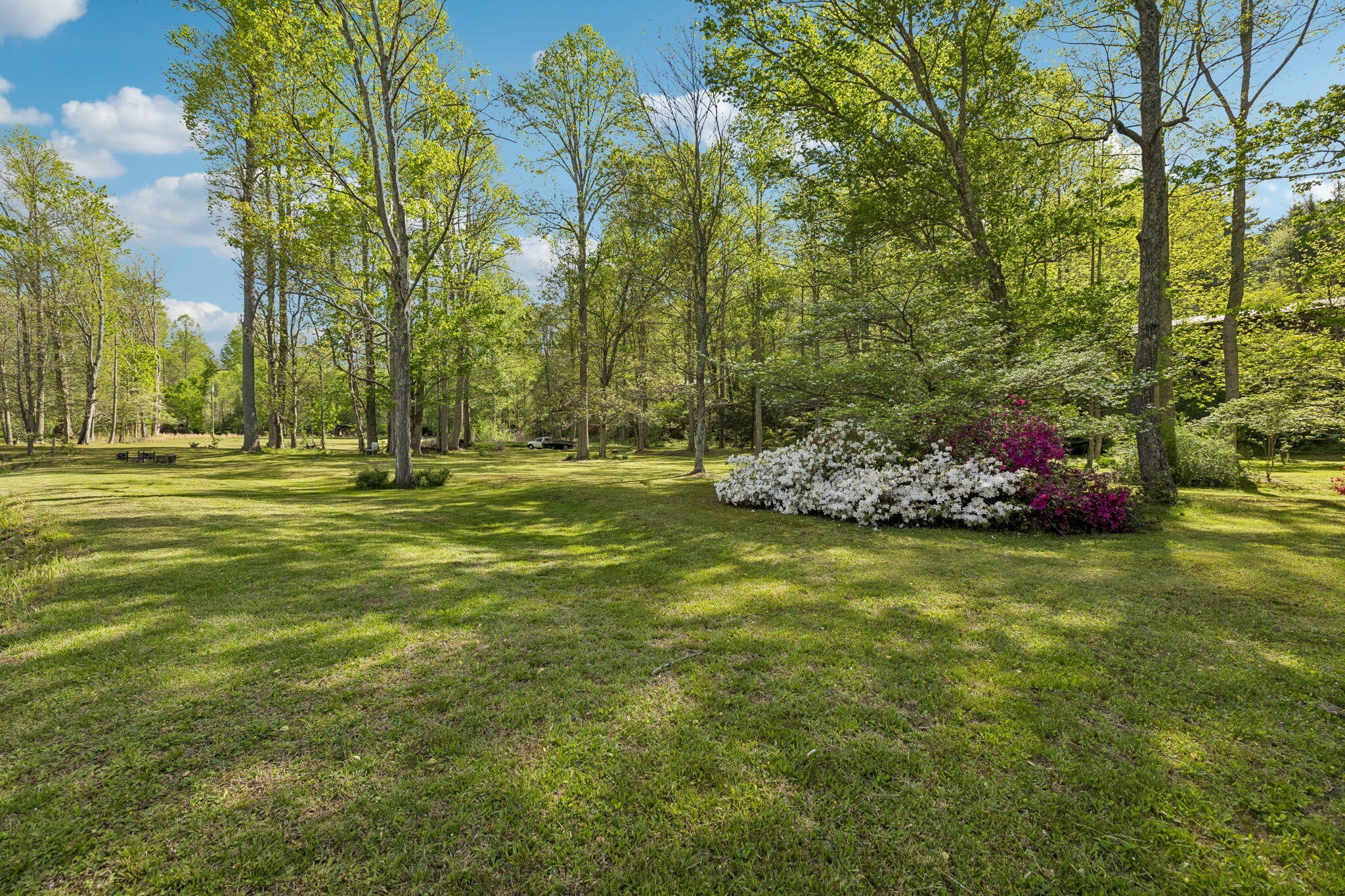 1532 Turkey Creek Road Tellico Plains, TN 37385 - Photo 53 of 65