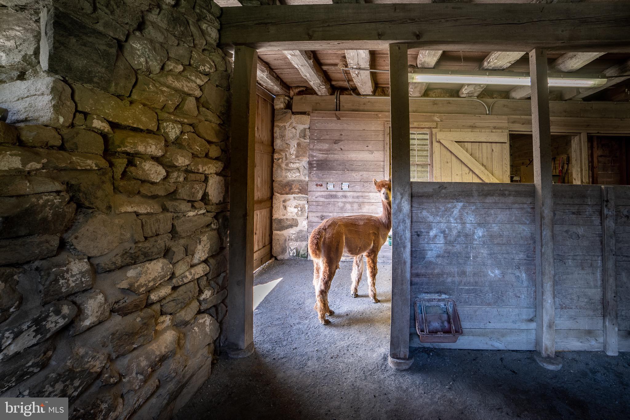2045 Union Hill Road Malvern, PA 19355 - Photo 41 of 50 Interior barn