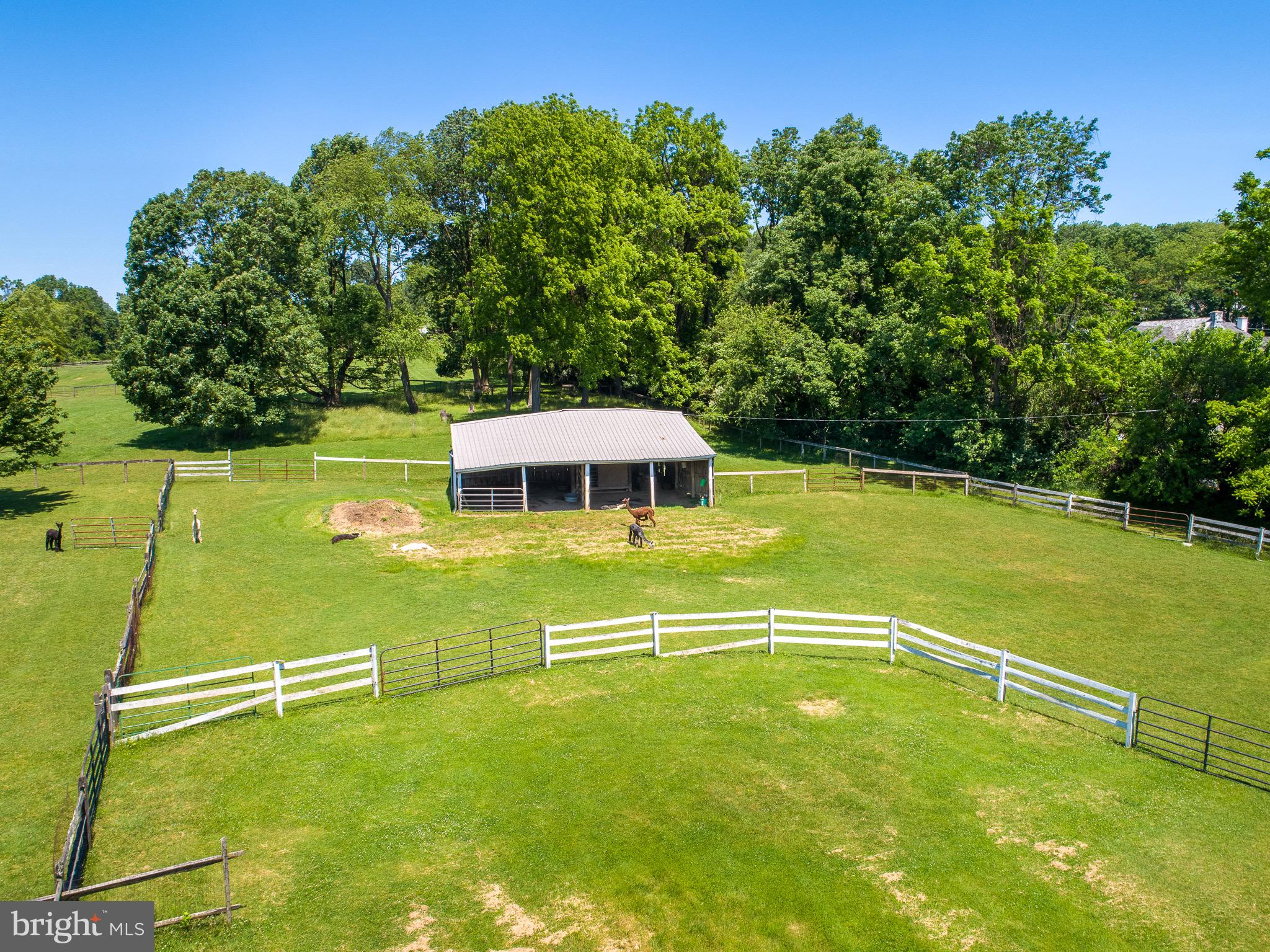 2045 Union Hill Road Malvern, PA 19355 - Photo 45 of 50 Fenced in pasture