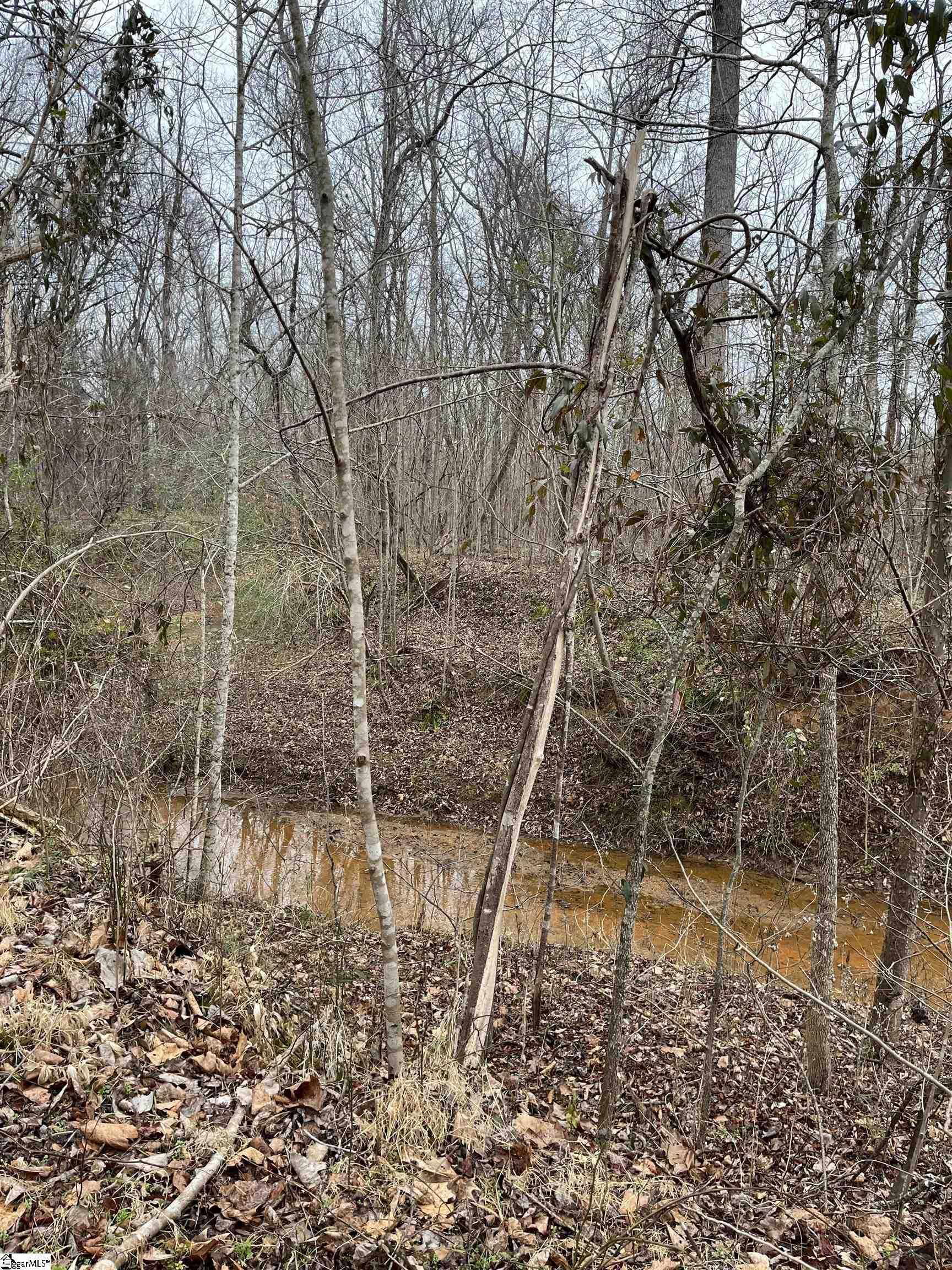 0 North Highway 72 Clinton, SC 29325 - Photo 11 of 12