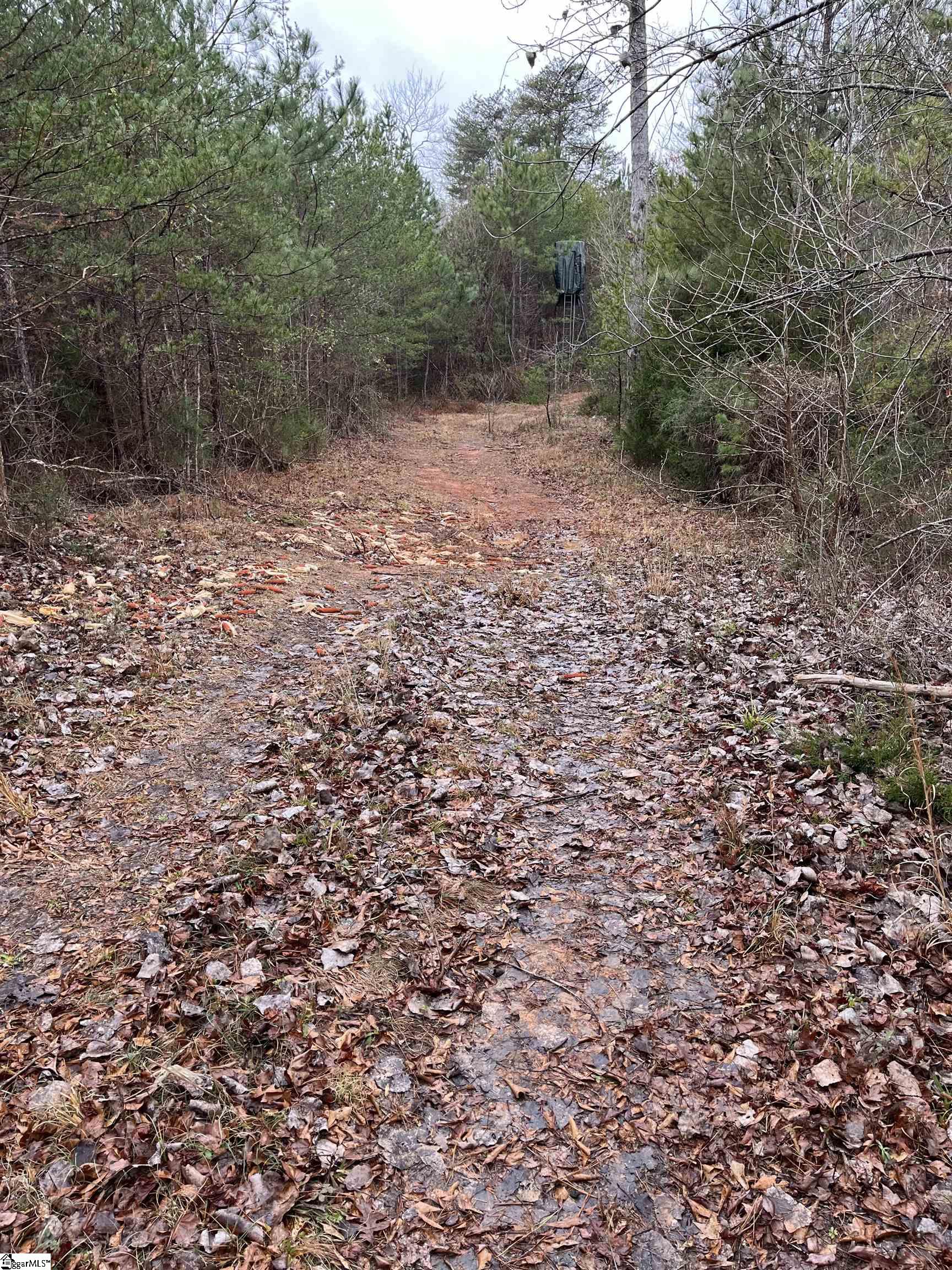 0 North Highway 72 Clinton, SC 29325 - Photo 8 of 12