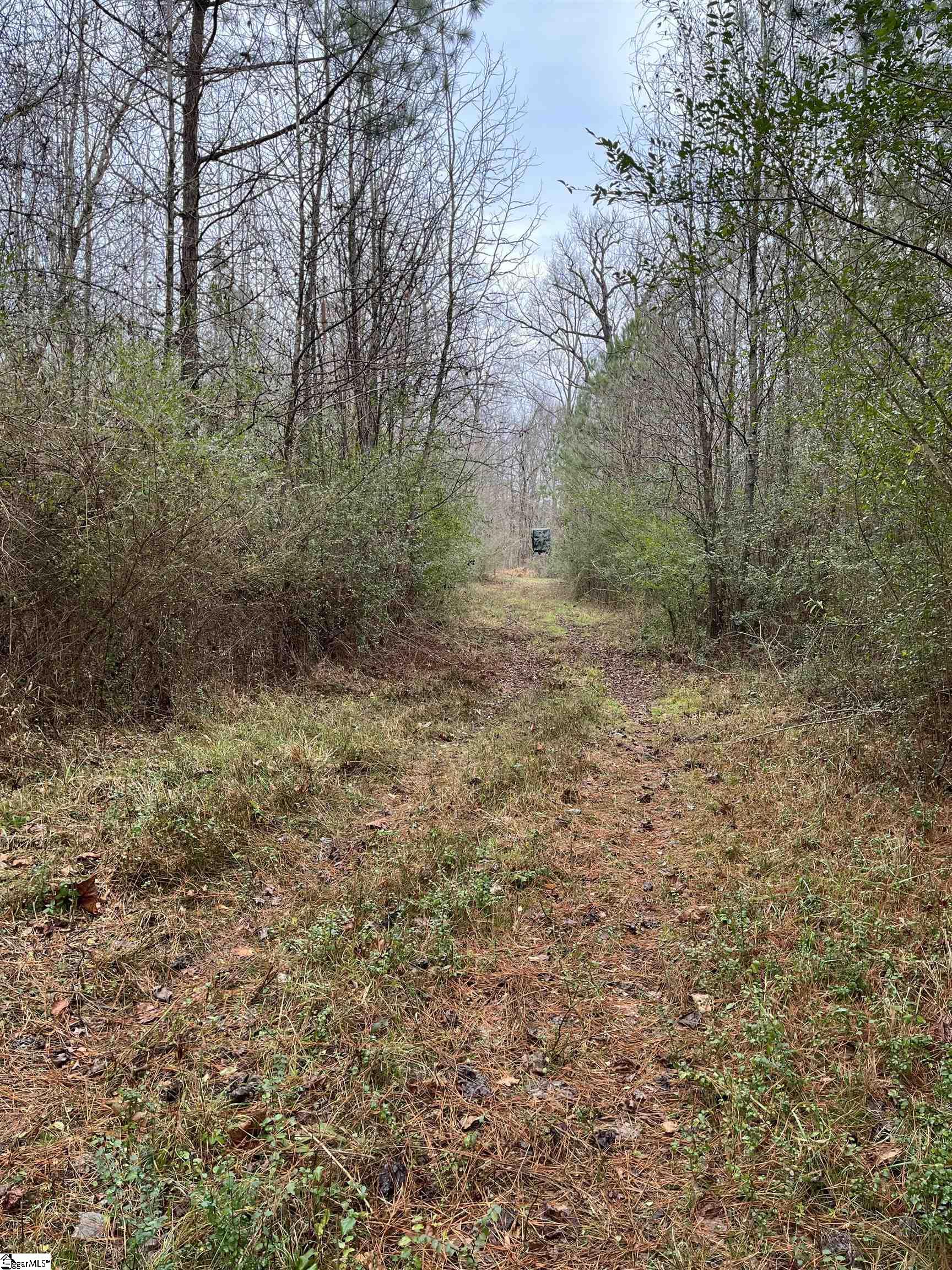 0 North Highway 72 Clinton, SC 29325 - Photo 10 of 12