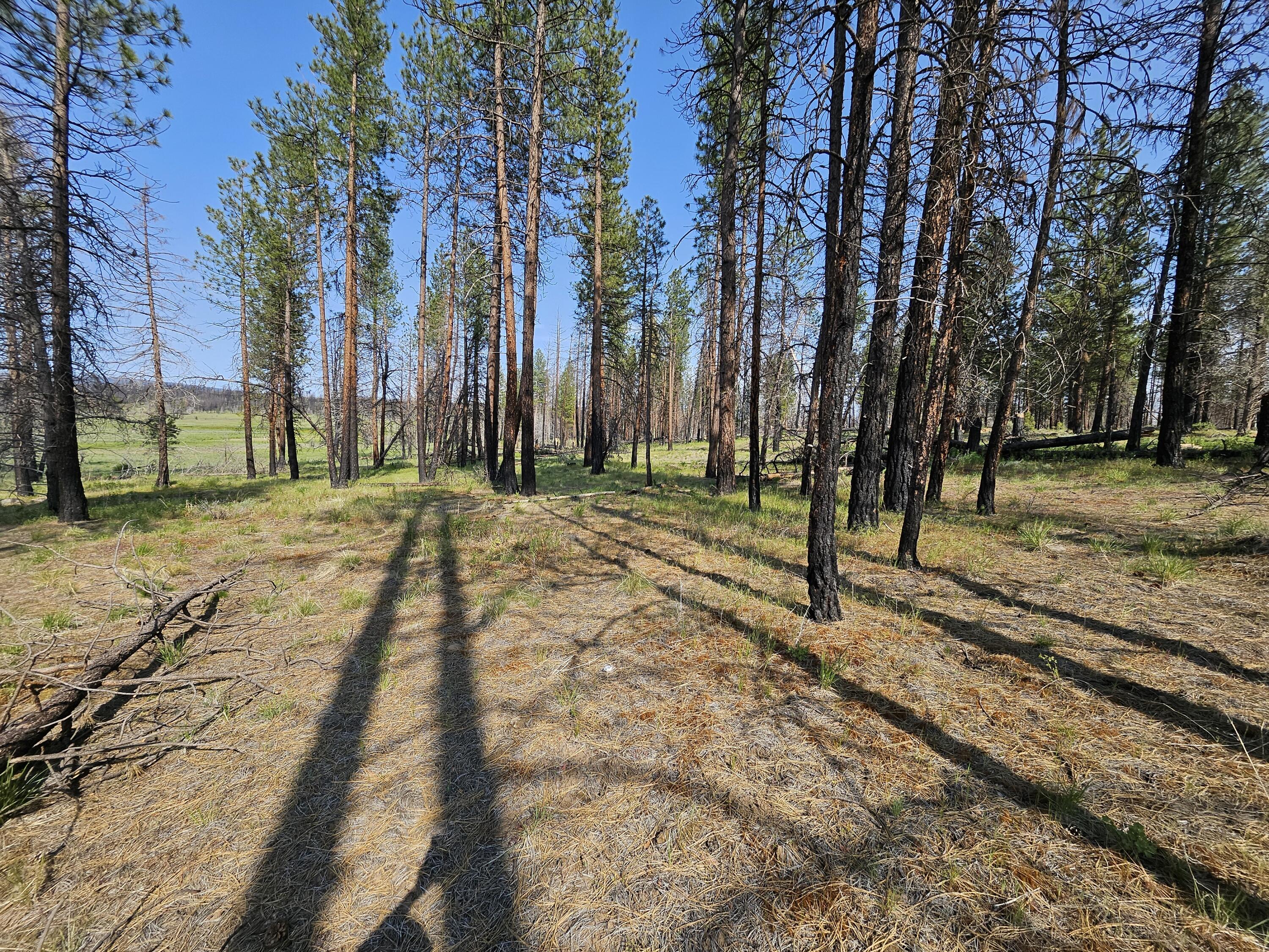 8 Parazoo Trail Bly, OR 97622 - Photo 5 of 27 20250601_164944