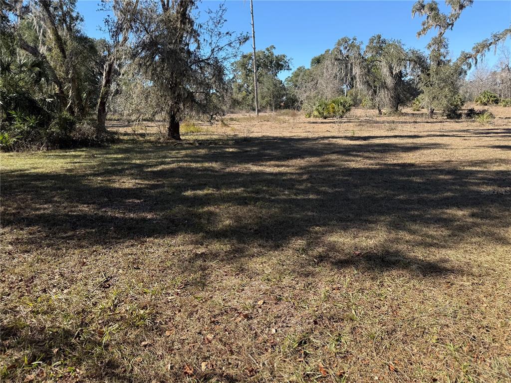 18630 Bradshaw Road Dade City, FL 33523 - Photo 37 of 43 a view of dirt yard