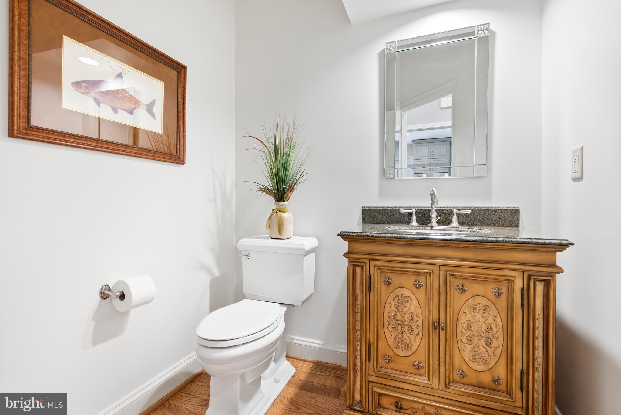 1600 Old Mill Bottom Run Annapolis, MD 21409 - Photo 20 of 56 a bathroom with a toilet a sink and mirror