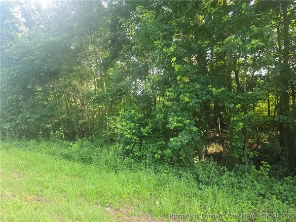 $80,000 | Rockfish Road, Raeford, NC 28376