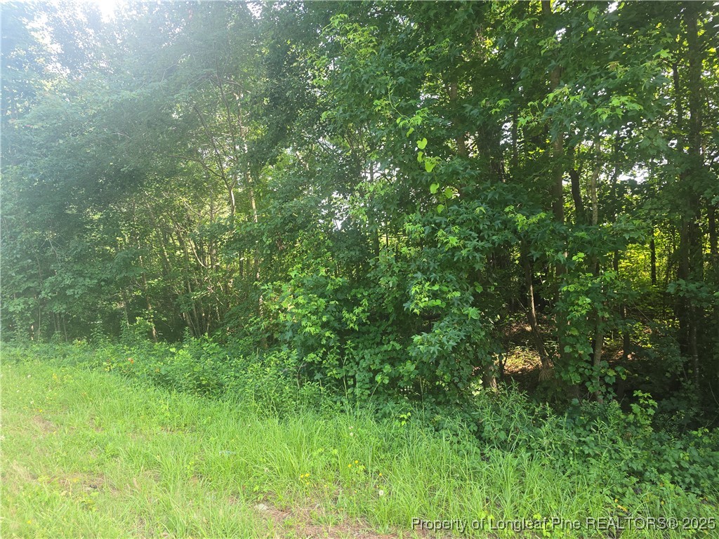 Rockfish Road Raeford, NC 28376 - Photo 1 of 3