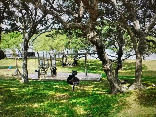 a view of a grassy field with an trees