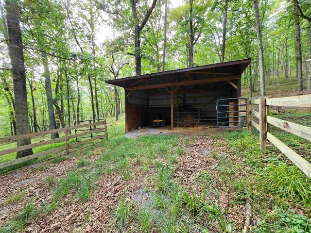 a view of a house with a yard and large tree