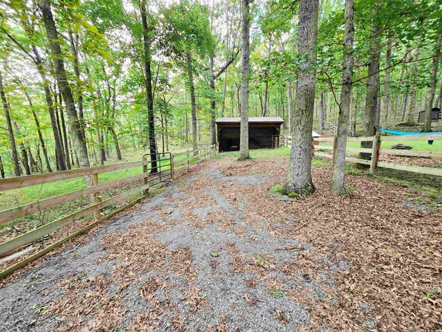 a view of a backyard with tree s
