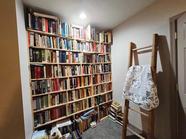 a view of a livingroom with a bookshelf and a book shelf
